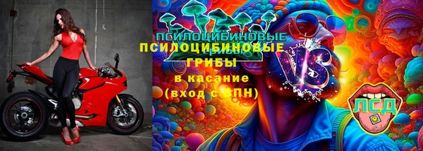 spice Алзамай
