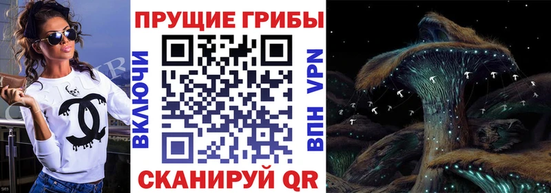 Псилоцибиновые грибы Psilocybe  Волгодонск 