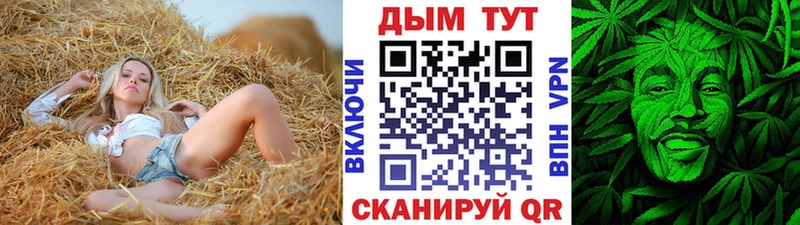 Конопля планчик  где купить наркоту  Волгодонск 